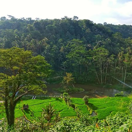 Puri Bunga Resort Ubud Eksteriør bilde