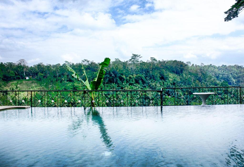 Puri Bunga Resort Ubud Rom bilde